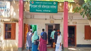 ‘আমি কি আপনার কামলা দেই’, পরামর্শ চাইতে আসা কৃষককে কর্মকর্তা