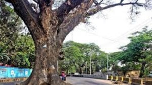 আন্দোলনের মুখে র‌্যাম্প নির্মাণ স্থগিত করল সিডিএ