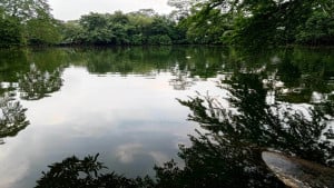 বেদখল ৬২  খাস পুকুর উদ্ধার