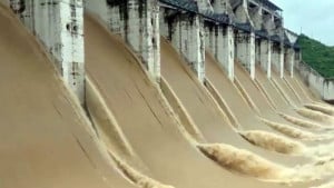 ফারাক্কার ১০৯ স্লুইসগেট খোলায় পানি বাড়ছে পদ্মায়