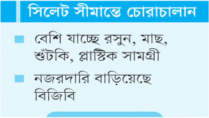 বাংলাদেশি নানা পণ্যও দেদার পাচার ভারতে
