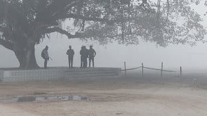 তেঁতুলিয়ায় মাঝারি শৈত্যপ্রবাহ, তাপমাত্রা ৭.২