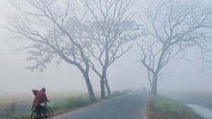 চুয়াডাঙ্গায় মৌসুমের সর্বনিম্ন তাপমাত্রা ৬.৬ ডিগ্রি সেলসিয়াস 