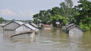যমুনা তীরের ৮১ হাজার পরিবারে ডব্লিউএফপির আগাম সহায়তা 