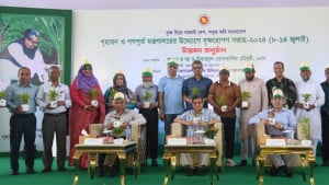 ভবনের নকশা অনুমোদনে খালি জায়গায় গাছ লাগানোর শর্তের নির্দেশনা 