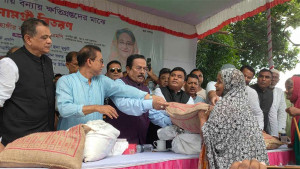বিএনপি নেতাদের কাজ শুধু সরকারের উকুন বাছা: নানক