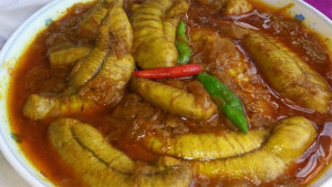 ইলিশের ডিম কতটা উপকারী 