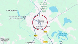 ৯ কোটি ৩১ লাখ টাকা নিয়ে লাপাত্তা বন কর্মকর্তা