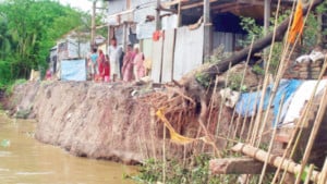 কুশিয়ারায় তীব্র হচ্ছে ভাঙন   ভিটেহারা ৩০ পরিবার