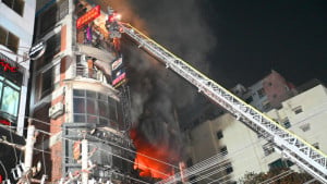 কাচ্চি ভাইয়ের মালিক গ্রেপ্তার, ২ দিন রিমান্ডে