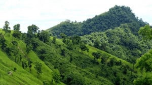 রুমায় কেএনএফ আস্তানায় সেনা অভিযান, অস্ত্র উদ্ধার