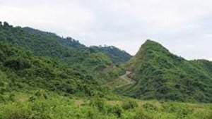 আগ্রাসী ভক্ষক, অসহায় রক্ষক
