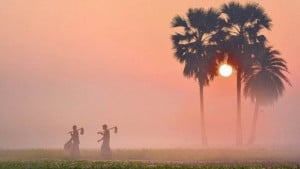 দিন-রাতের তাপমাত্রা কমছে, ভোরের আকাশে কুয়াশা