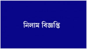 এবার নিলামে এস আলমের স্টিল, তেল মিল ও বিদ্যুৎকেন্দ্র