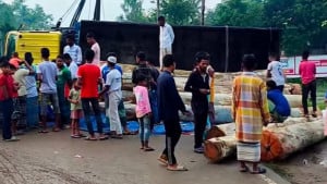 মহাসড়কে গাছবোঝাই ট্রাক উল্টে ১০ কিলোমিটার যানজট