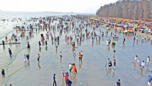 সারি সারি জাহাজে রাশি রাশি আনন্দ