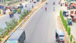 মানুষ চায় ফলদ গাছ, সওজের ভিন্নমত