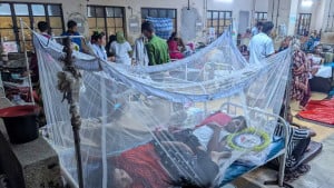 তালিকার বাইরে অধিকাংশ চিকুনগুনিয়ার রোগী