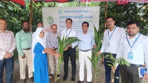 ফরিদপুরে শাহজালাল ইসলামী ব্যাংকের বৃক্ষরোপণ