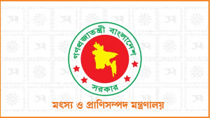 বিদেশ থেকে গরুর মাংস আমদানির খবর মিথ্যা: মৎস্য ও প্রাণিসম্পদ মন্ত্রণালয়