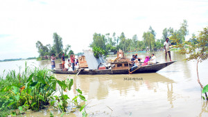 বন্যা-ভাঙনে দুর্ভোগে তিস্তাপারের মানুষ, ঘরবাড়ি সরিয়ে নিচ্ছেন অনেকে