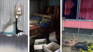 যুবলীগ নেতার নেতৃত্বে ৬ বসতঘর ভাঙচুরের অভিযোগ, নারীসহ আহত ৮