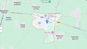 ধর্ষণের চেষ্টার অভিযোগে মালিকের পুরুষাঙ্গ কাটলেন কাজের মেয়ে