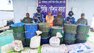 সুন্দরবন থেকে ৮৫০ কেজি কাঁকড়া জব্দ, পালাল পাচারকারীরা