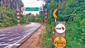 রাতে জ্বলে সড়কবাতি পথ হারায় বন্যহাতি