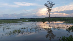 জলাবদ্ধতায় হাজার হেক্টর জমি ফসল আবাদ নিয়ে শঙ্কা