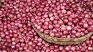 আমদানির খবরে কমলো পেঁয়াজের দাম
