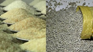 সার ও চাল আমদানিসহ ১০ ক্রয় প্রস্তাব অনুমোদন