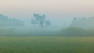 মৌসুমের সর্বনিম্ন তাপমাত্রা দিনাজপুরে