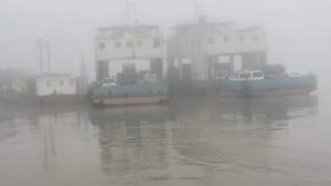 দৌলতদিয়া–পাটুরিয়া ফেরি চলাচল বন্ধ