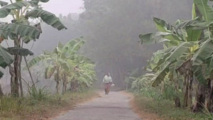 কনকনে শীতে বিপর্যস্ত নাটোরের জনজীবন