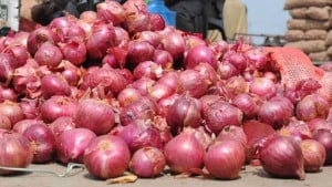 সোনামসজিদ বন্দর দিয়ে ভারত থেকে এলো পেঁয়াজ
