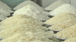 ভারত থেকে আরও ৫০ হাজার টন চাল কিনছে সরকার