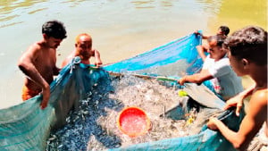 একটি বিজ্ঞাপন বদলে দিল রশিদের ভাগ্য