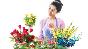 শখের গাছের যত্ন