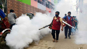 স্থবির ঢাকার দুই সিটির মশক নিধন কার্যক্রম