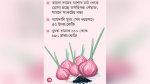 পেঁয়াজ আমদানিতেও চক্রের দ্বিগুণ মুনাফা