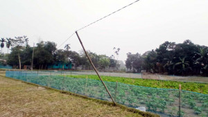 বিপজ্জনক বিদ্যুৎ সংযোগ বিচ্ছিন্ন করার দাবি