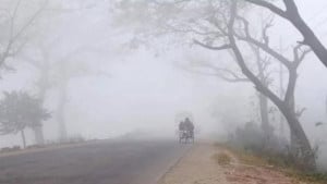 কুয়াশায় আটকে সূর্য, বুধবারও জেঁকে বসবে তীব্র শীত