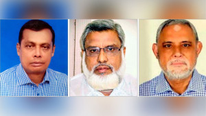 ধানের শীষ-দাঁড়িপাল্লার কারণে দুর্গেই কোণঠাসা লাঙ্গল