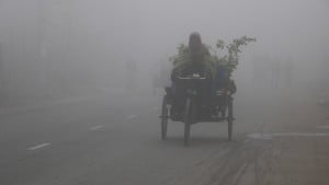 কনকনে ঠান্ডায় বিপর্যস্ত নওগাঁর জনজীবন