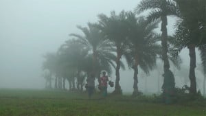 মৃদু শৈত্যপ্রবাহের কবলে চুয়াডাঙ্গা, তাপমাত্রা নামল ৯.৮ ডিগ্রিতে