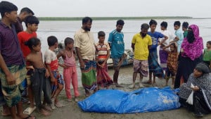 বাল্কহেডের ধাক্কায় মেঘনায় ডুবল মাছ ধরার ট্রলার, নিহত ২