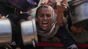 গাজায় হামলা-ক্ষুধার করাল ছায়া, একদিনেই নিহত অন্তত ৭১