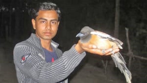 গাছ ও পাখির বন্ধু ফজলে রাব্বী