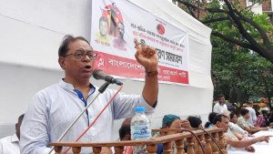 অন্তর্বর্তী সরকার গণ-অভ্যুত্থানের আকাঙ্ক্ষা ধারণ করতে পারেনি: সাইফুল হক